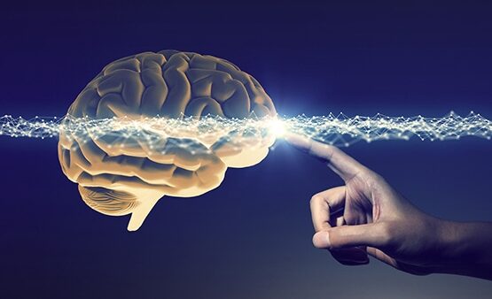 human hand and brain, 3D rendering